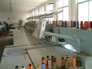 工廠拆遷，信息技術設備與綠植同步低價處理通告